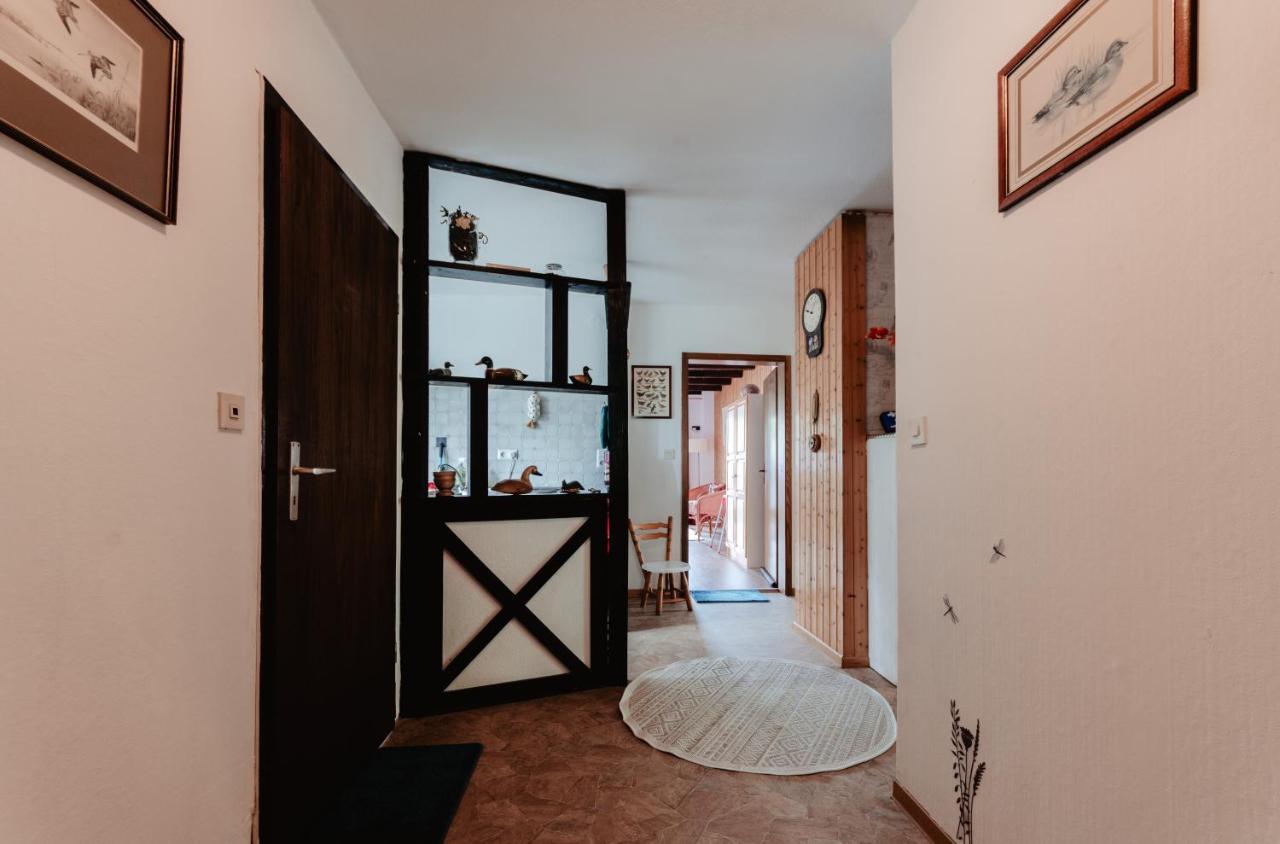 Appartement Olifant In Osterode à Osterode am Harz Extérieur photo